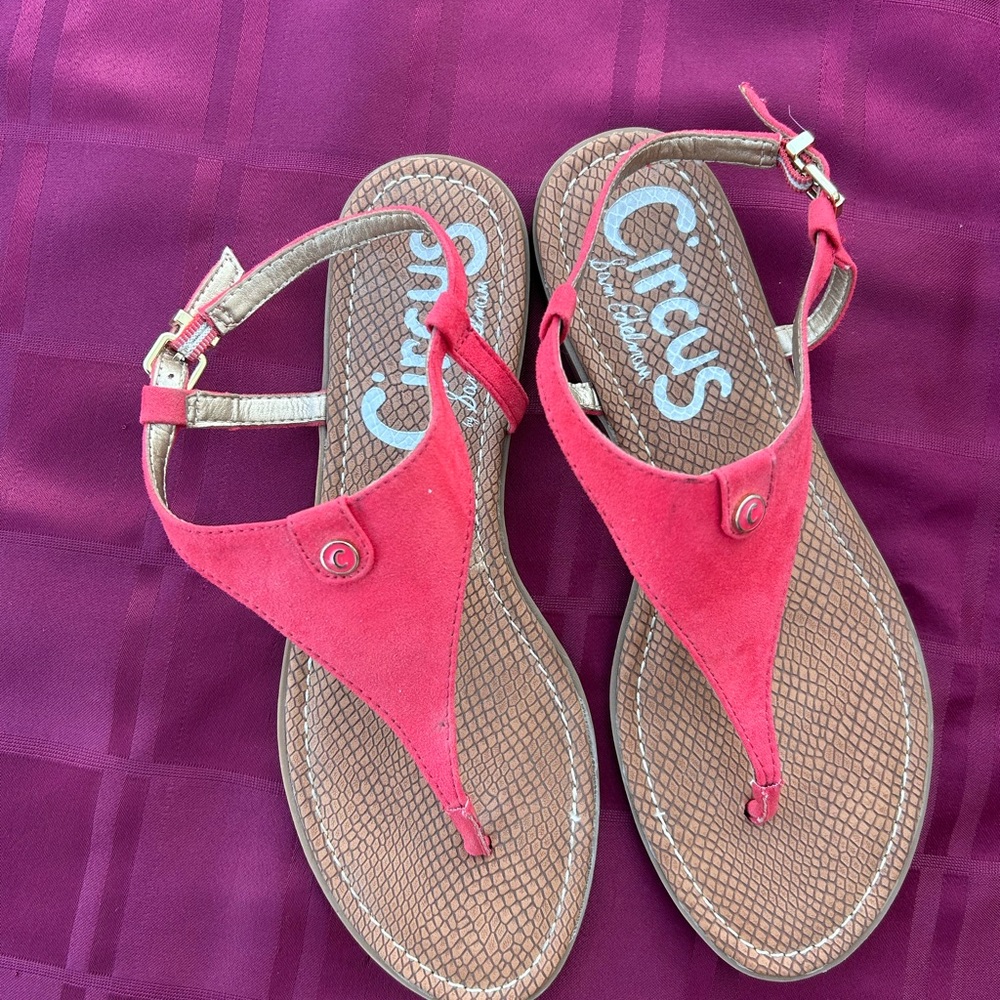 (5/$5 Deal) Circus by Sam Edelman Women’s Carolina Sandals